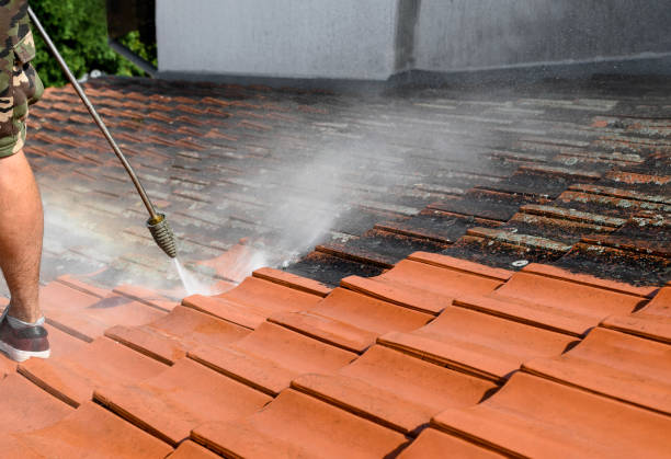 Best House Pressure Washing  in Jackson, CA